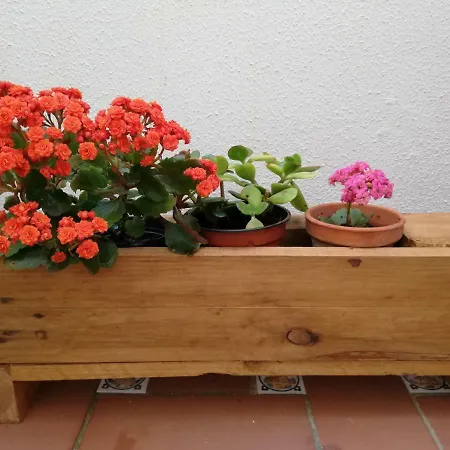 Coralba - Duplex Bahia De Cadiz Апартаменты *